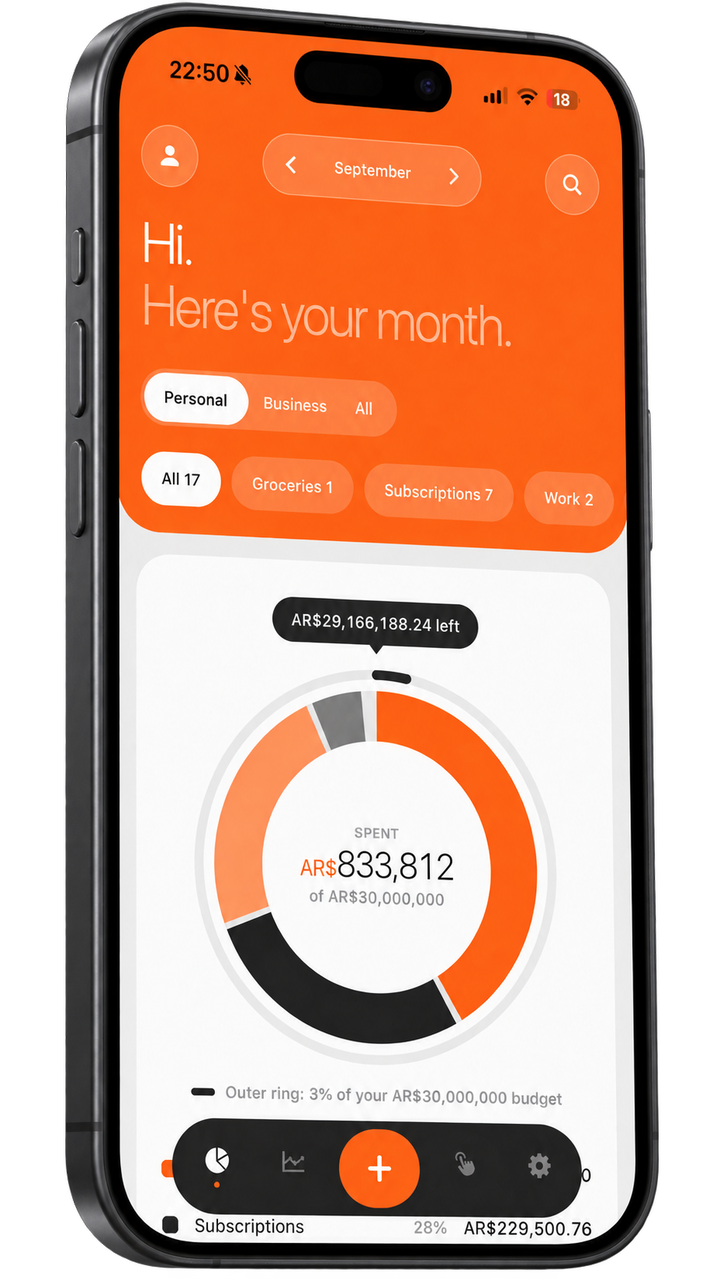 MySpent home screen: the month in one circle by category, with the budget ring